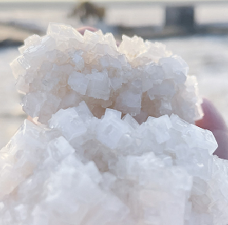 尊龙凯时人生就博·(中国)官网